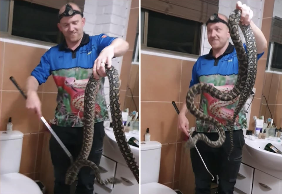 Sunshine Coast Snake Catchers 24/7's Stu McKenzie holds a large carpet python.