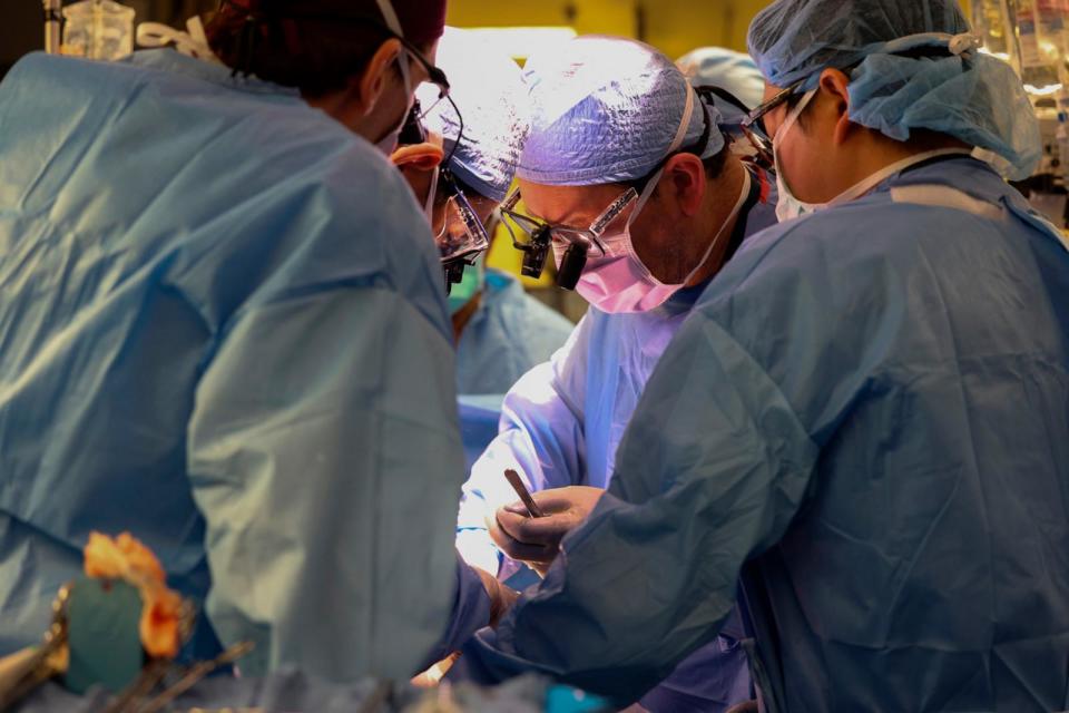 PHOTO: Massachusetts General Hospital says the procedure marks a major milestone in the quest to provide more readily available organs to patients. (Massachusetts General Hospital)