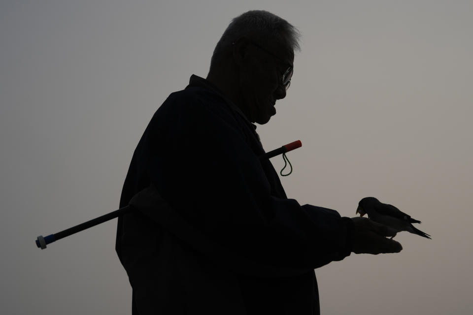 A man prepares a bird before tossing it into the air to catch a bead shot out of a tube, practising a Beijing tradition that dates back to the Qing Dynasty, outside a stadium in Beijing, Tuesday, March 26, 2024. Today, only about 50-60 people in Beijing are believed to still practice it. (AP Photo/Ng Han Guan)