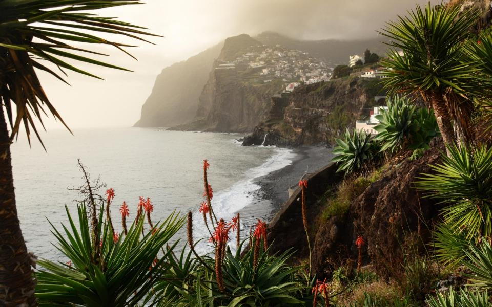 Madeira has a travel corridor - Getty