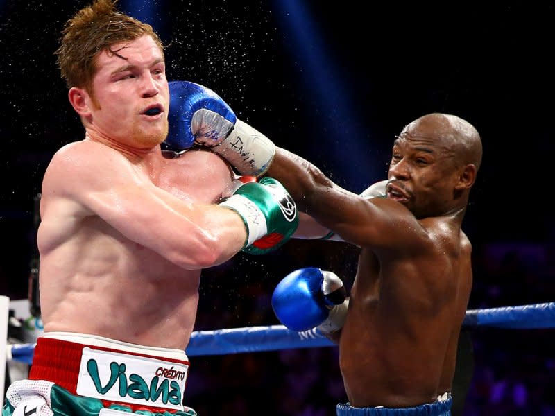 floyd mayweather canelo alvarez fighting