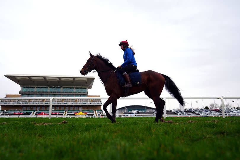 A Gordon Elliott-trained horse on the gallops ahead on Wednesday, April 10 of the 2024 Randox Grand National Festival at Aintree Racecourse which starts on Thursday