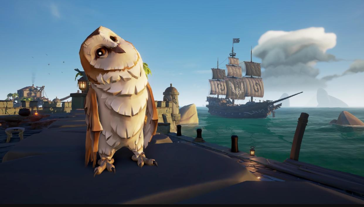  Sea of Thieves Owls image. 