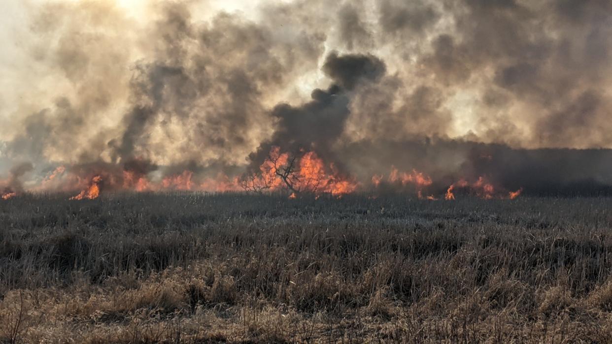 A wildfire tore through a rural area in Menomonee Falls on Friday, April 2, 2021.