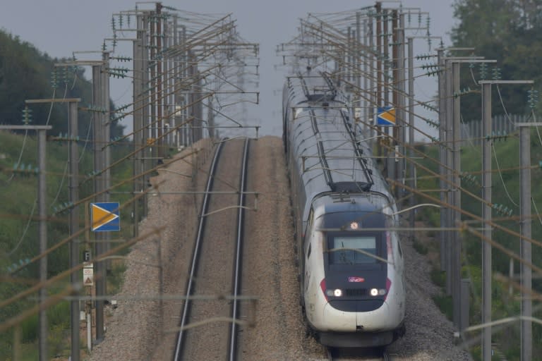 Un TGV de la SNCF sur la ligne Paris-Bordeaux, le 31 août 2024 (JEAN-FRANCOIS MONIER)