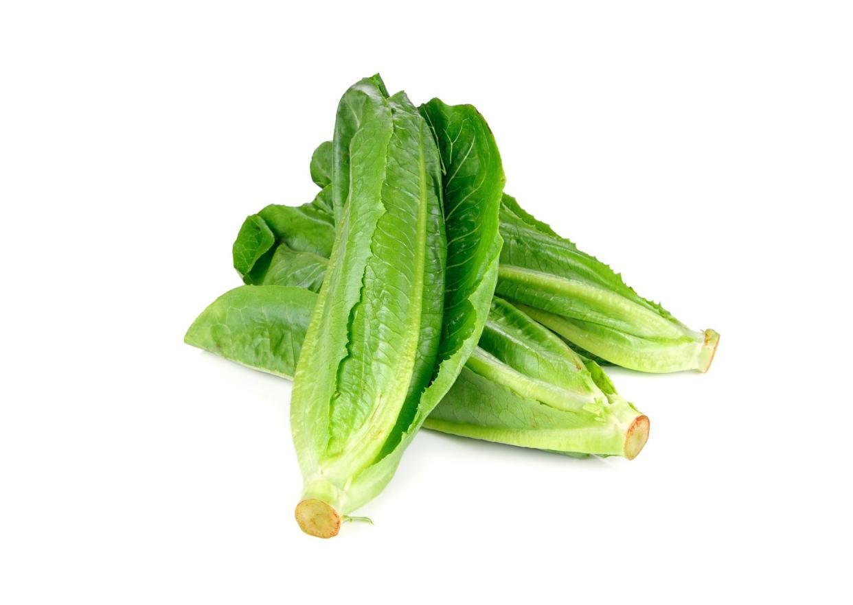 fresh baby cos lettuce on white background