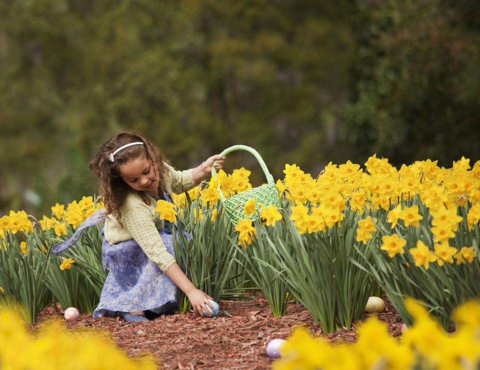 easter captions egg hunt