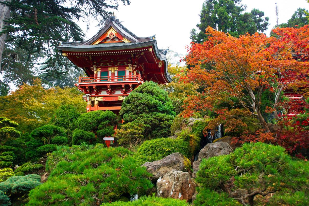 Golden Gate Park, San Francisco