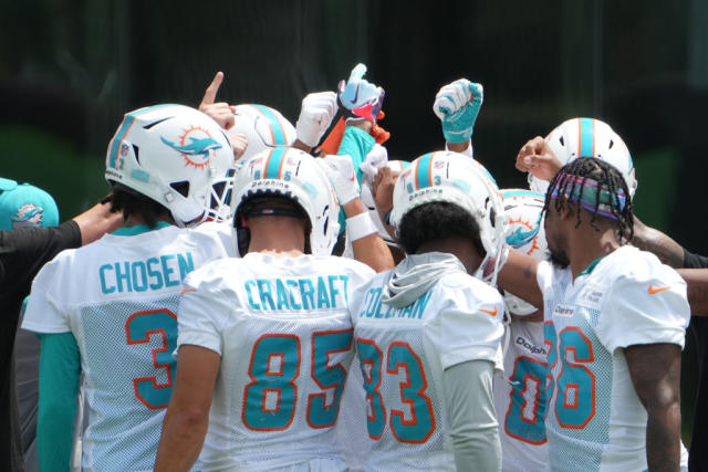 Dolphins will hold nine practices open to the public