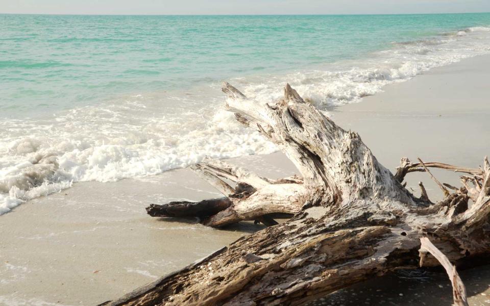 Stump Pass Beach State Park