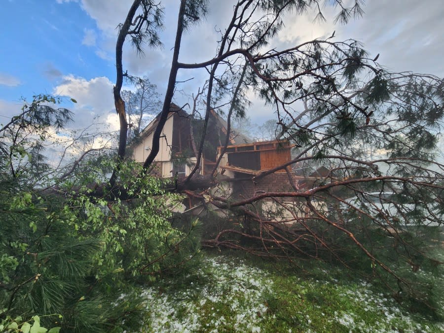 Storm damage (Chatham McKinny)