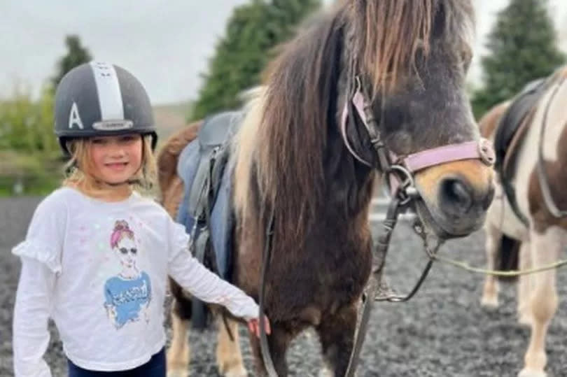 A quick ten-minute journey away, the Cantref Adventure Farm offers indoor play areas, horse riding, animal feeding, pet handling, a café and VIP animal experiences