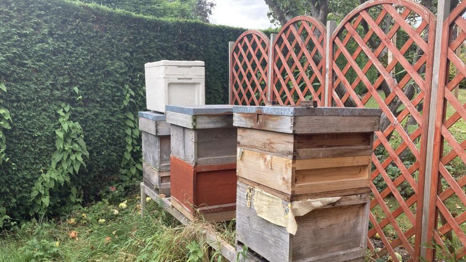 Bee hives