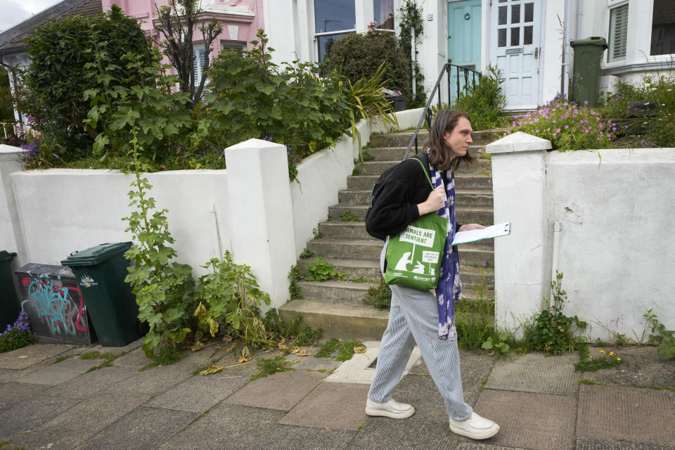 Councillor Raphael Hill as they canvass for The Green Party in the Round Hill Ward in Brighton, East Sussex, England, Wednesday, June 12, 2024. There’s lots of talk of change in Britain’s election campaign, but little talk about climate change. The U.K.’s July 4 vote to choose a new government comes after one of the wettest and warmest winters on record, part of trends scientists attribute to global warming. (AP Photo/Kirsty Wigglesworth)