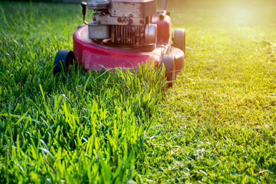 A lawnmower