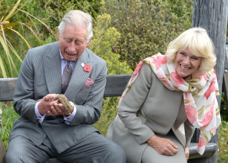 King Charles ducks while holding a tuatara as Camilla looks on