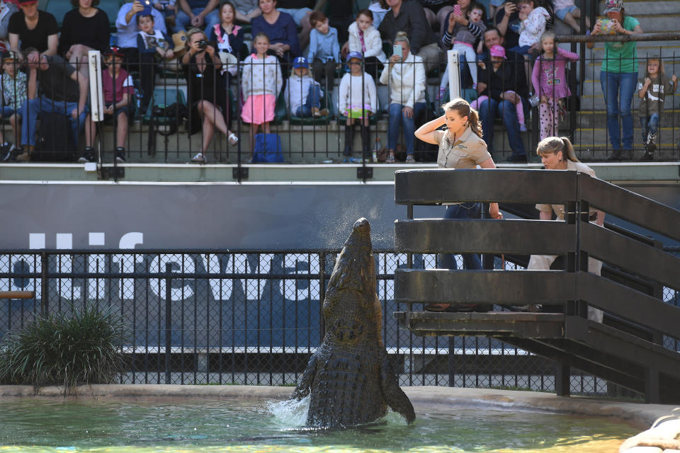 <p>Oh, and this croc made sure to pop by to wish Bindi a happy birthday.<br>Source: Ben Beaden / Australia Zoo </p>