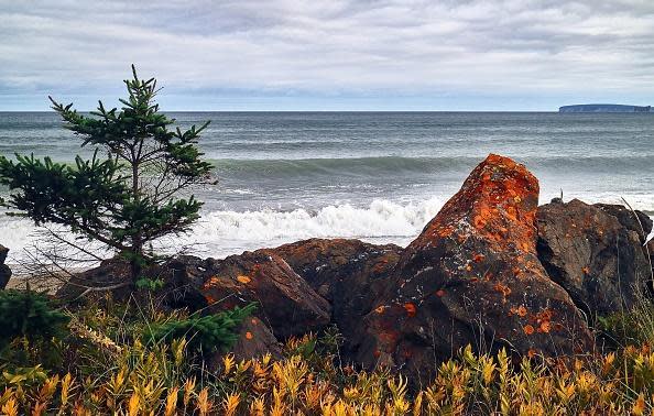 A massive storm on a Canadian beach led to a groundbreaking discovery that solved a nearly 170-year mystery, according to a new report. Officials had been trying to determine the identities of human remains found on the shores of Quebec’s Gaspe Peninsula in the spring of 2011 for years, until Canada’s national parks agency announced its findings last week. The bones were reportedly from 1847, when a ship carrying Irish migrants crashed into the cape during a major storm, killing all but 48 of the nearly 200 passengers on board, the Washington Post reported on Thursday.The migrants were fleeing the Great Famine in Ireland, and were likely almost all starving when they boarded the ship. Three partial skulls discovered on the beach belonged to children who were between the ages of nine and 15 at the time of their deaths. Despite a series of logistical challenges that come with identifying poorly-preserved bones, bio-archaeologists remained committed to testing each of the remains until another major discovery occurred in 2016.Officials found 18 more human remains after a lengthy excavation near the site of the shipwreck, after employees of the country’s national park service noticed human bones while working on a road near the beach.The mass grave allowed researchers to conduct a chemical analysis as the remains were preserved better than the original discovery of the three skulls, eventually leading to the agency’s conclusion.“It’s like an episode of ‘Columbo,’ ” Mathieu Côté, a resource conservation manager at the site where the remains were found, told the Post. “We now have all the clues together, and we can have some kind of conclusion.”To this day, less than half of those killed in the shipwreck have been found. “I’m very sad to see lives that were stopped so young,” Isabelle Ribot, who received the bones and helped research their identities, told the Post. “But, in a sense, I’m glad to be able to give back some information to the dead.”