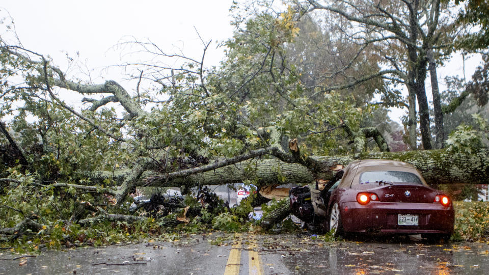 Staff photo by C.B. Schmelter / A downed tree is seen on top of a car along Belvoir Avenue on Thursday, Oct. 31, 2019 in Chattanooga, Tenn. An East Ridge police officer on the scene said that the driver of the crushed vehicle was perfectly OK after the accident and was not taken to the hospital. The fallen tree blocked traffic and knocked electricity out for a large part of East Ridge, Tenn. (C.B. Schmelter/Chattanooga Times Free Press via AP)