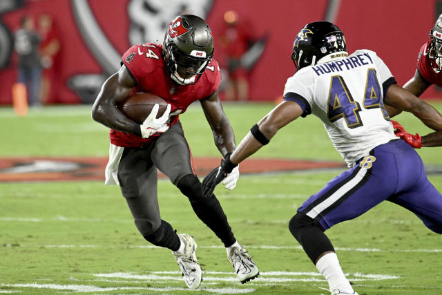 Ravens run preseason streak to 22, beating Cardinals 24-17 NFL - Bally  Sports