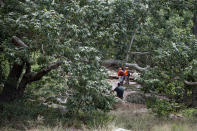 <p>Tonto Search and Rescue volunteers search for missing swimmers near the Water Wheel Campground on Sunday morning, July 16, 2017, in the Tonto National Forest, Ariz., following Saturday’s deadly flash-flooding at a normally tranquil swimming area in the national forest. (Alexis Bechman/Payson Roundup via AP) </p>