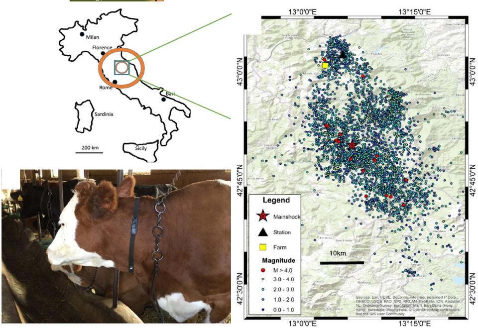Los investigadores analizaron el comportamiento de diferentes especies de animales en granjas situadas en una región italiana con alta actividad sísmica | Imagen Wikelski, Martin, et al