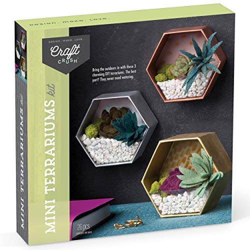 Mini Terrariums Craft Kit (Amazon / Amazon)