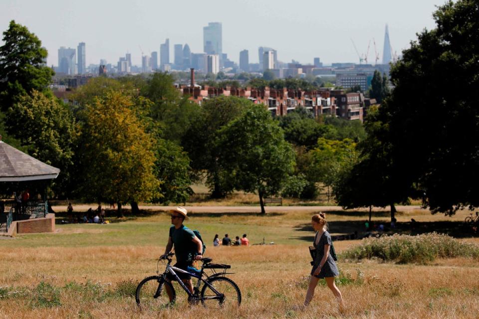 Hampstead Heath (AFP via Getty Images)