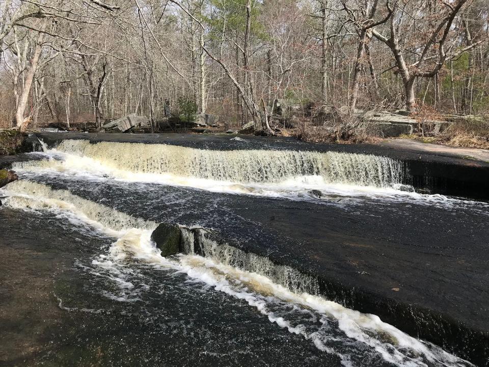 The Falls River tumbles over a series of natural and manmade terraces to form Stepstone Falls, a popular feature at Arcadia Management Area.