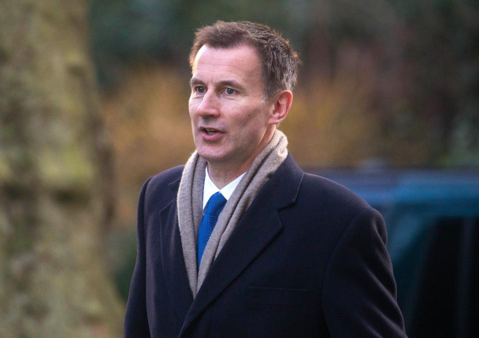 Health Secretary Jeremy Hunt (Rex)