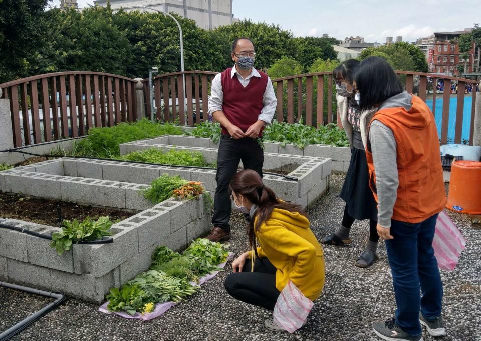 永和國中至今已帶領超過50人次教師採收5次以上農作。   圖：新北市教育局提供