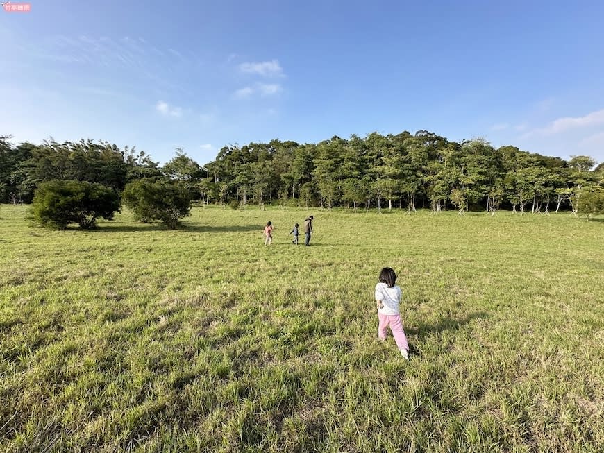 新竹青青草原