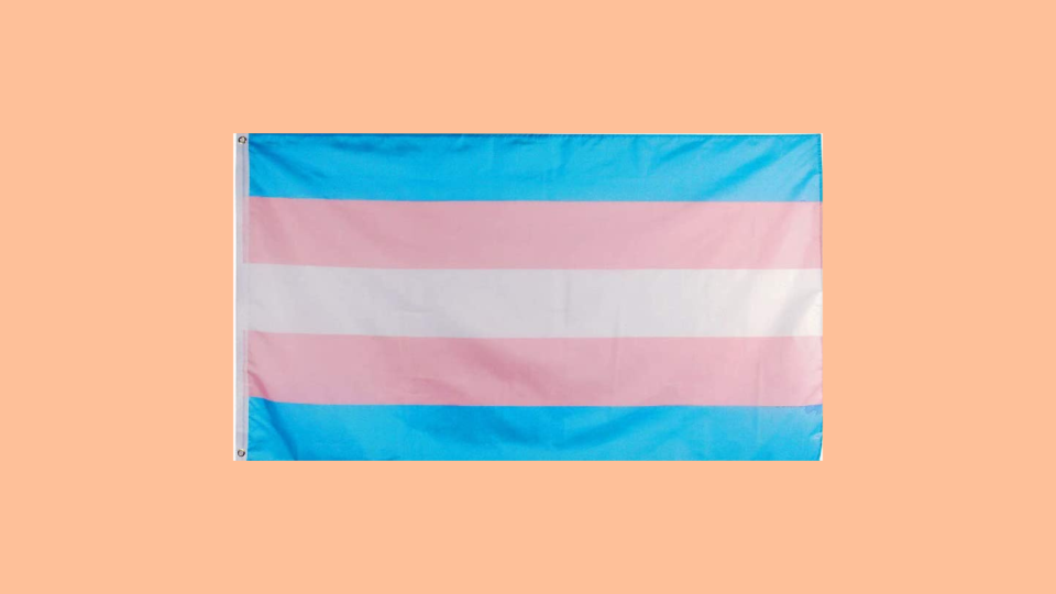 Transgender flag