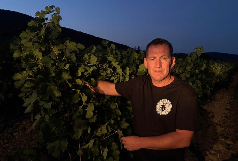 FILE PHOTO: Heatwave forces French wine producers to harvest overnight in Ardeche