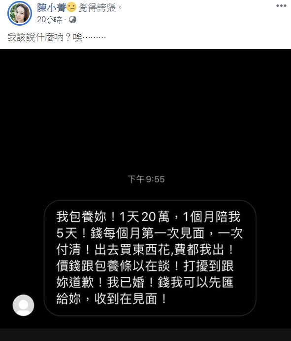 陳小菁透露有已婚網友開價「1天20萬」要包養她。（圖／翻攝自陳小菁臉書）