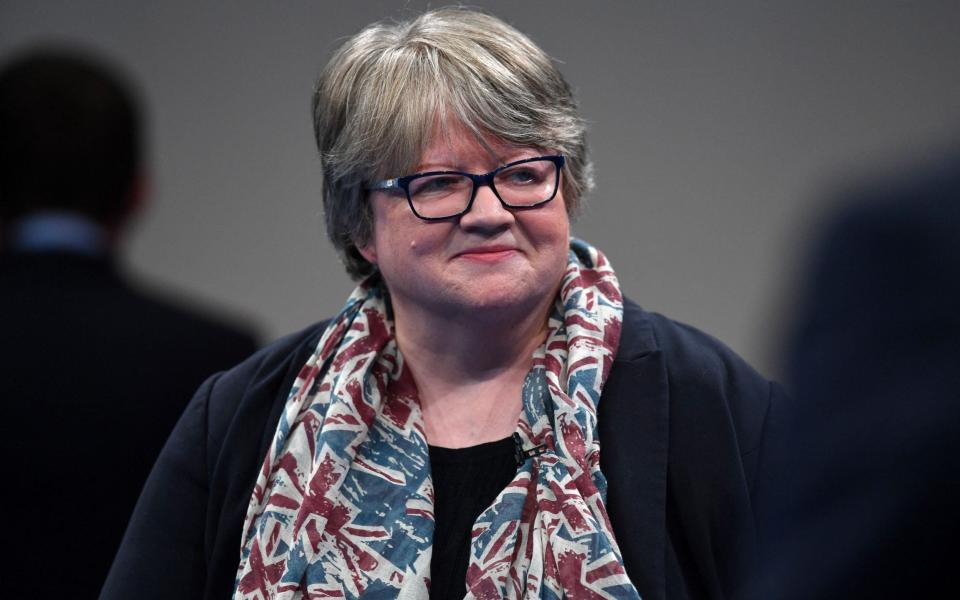 Therese Coffey, the Work and Pensions Secretary, has said she will get a hydrogen boiler - Paul Ellis/AFP