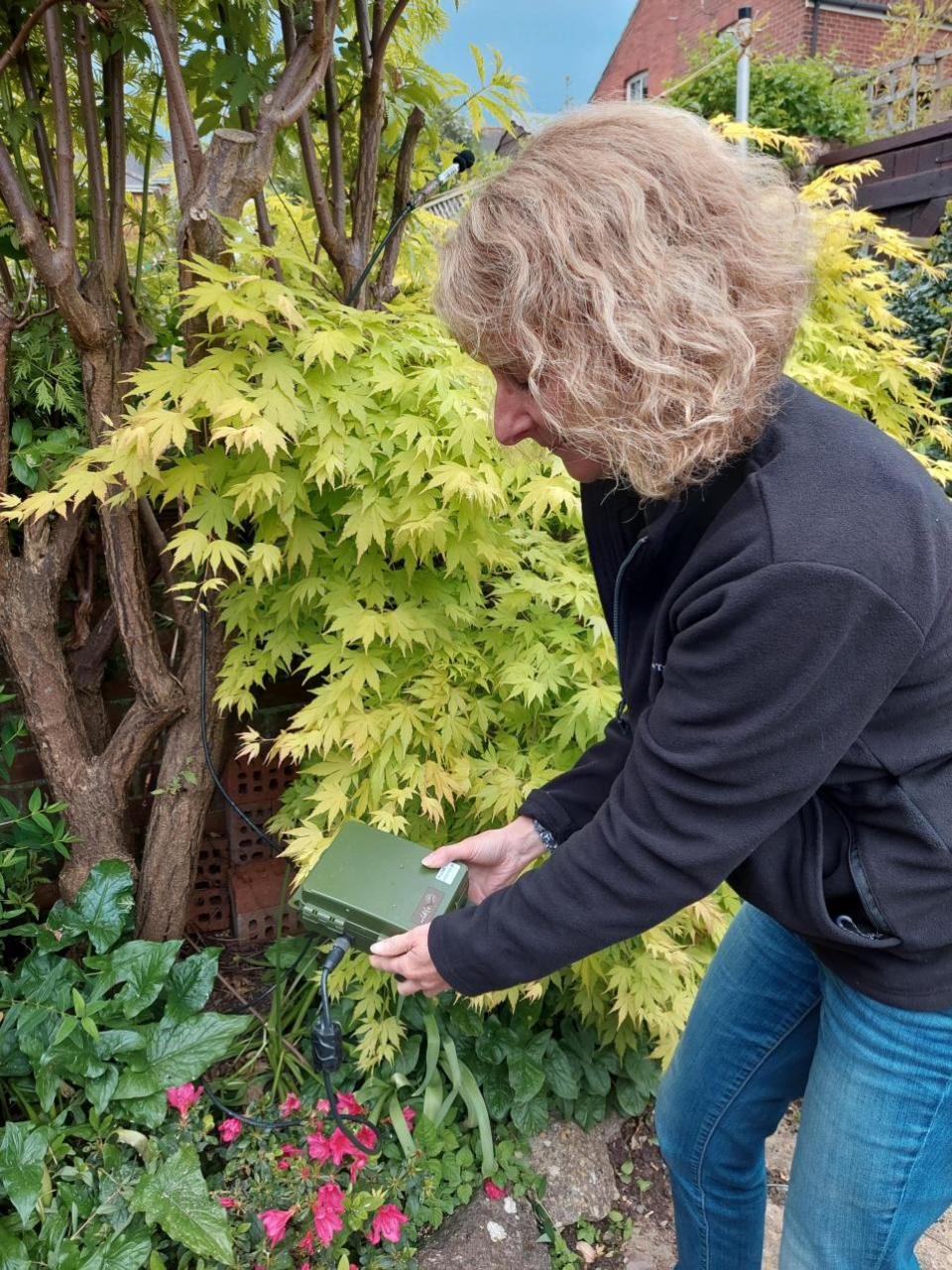 Exmouth Journal: Lindsay Mahon with a bat detector