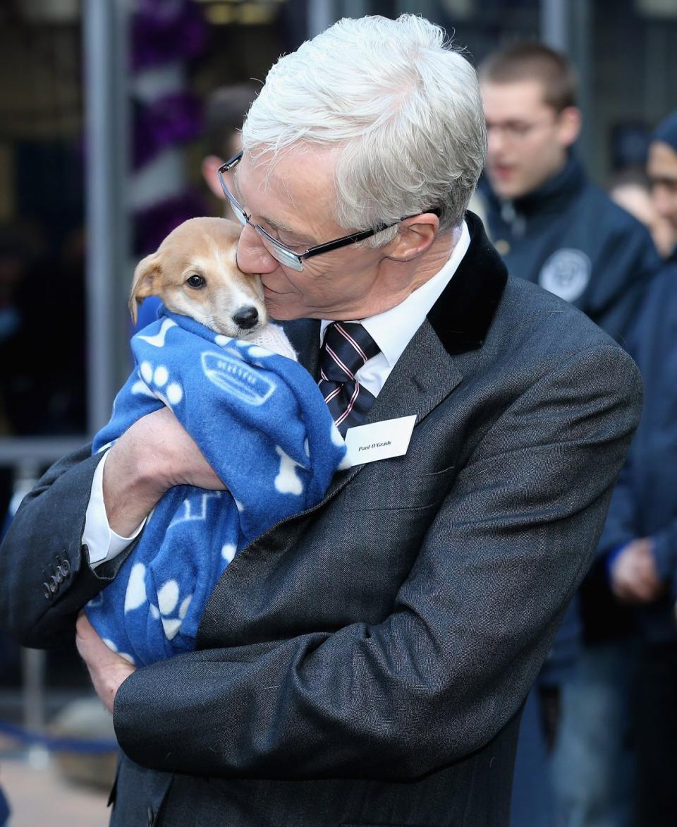 paul o'grady cuddles a lurcher cross puppy called mince pie at a battersea dogs and cats home fundraiser