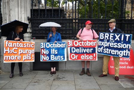 Pro-Brexit demonstrators protest outside the Houses of Parliament in London