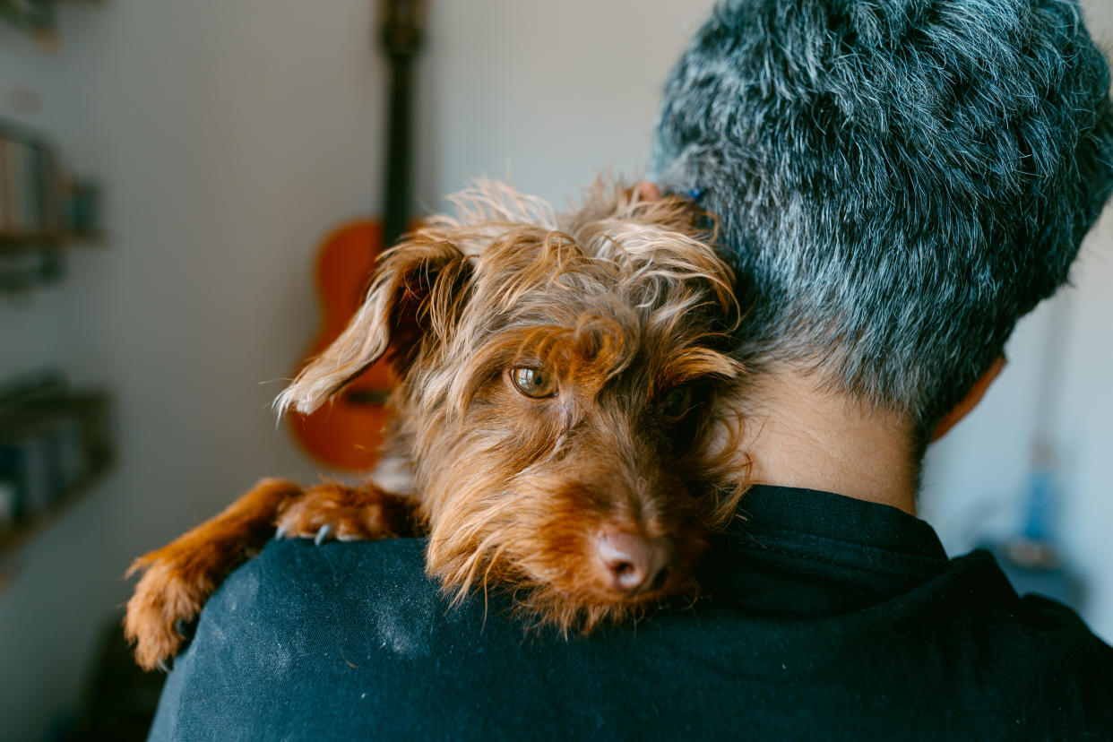 Rear view of a caucasian young woman with blue dyed short hair hugging her mixed breed dog at home