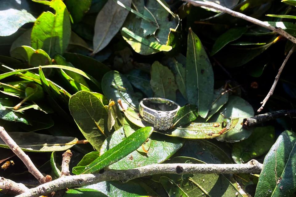 This undated photo provided by Ashley Garner shows Garner's lost wedding ring lying in a brush pile after Hurricane Ian passed through the area, in Fort Myers, Fla.