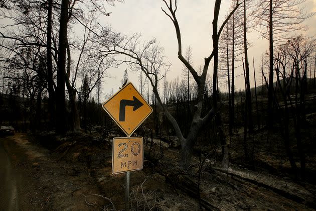 A road sign charred by the Oak Fire in California stands along Jerseydale Road near Mariposa.