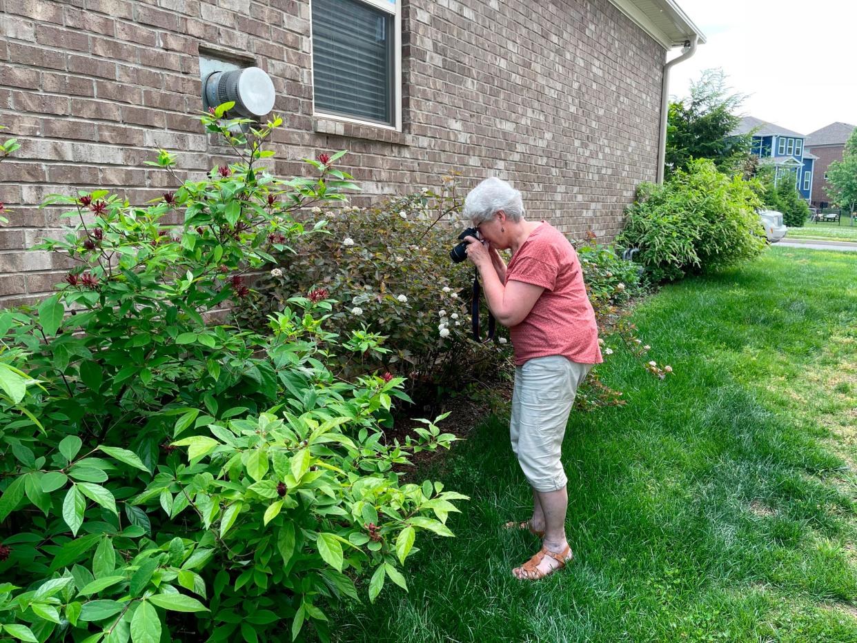 Karen Hill, of Thompson's Station, has 125 native plant species on her property.