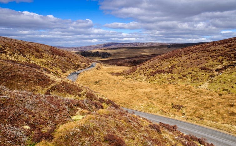 <span class="caption">The Forest of Bowland, Lancashire.</span> <span class="attribution"><a class="link " href="https://www.shutterstock.com/image-photo/narrow-country-lane-winds-through-deep-1615614211" rel="nofollow noopener" target="_blank" data-ylk="slk:Joe Dunckley/Shutterstock.com;elm:context_link;itc:0;sec:content-canvas">Joe Dunckley/Shutterstock.com</a></span>