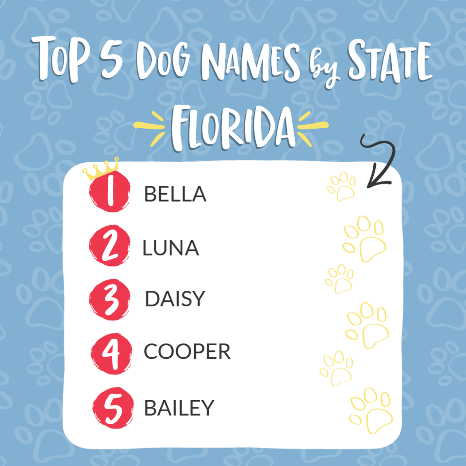 Top 5 dog names for Florida for 2022? Bella, Luna, Daisy, Cooper and Bailey. Shown is a graphic of the Top 5 courtesy of Camp Bow Wow.