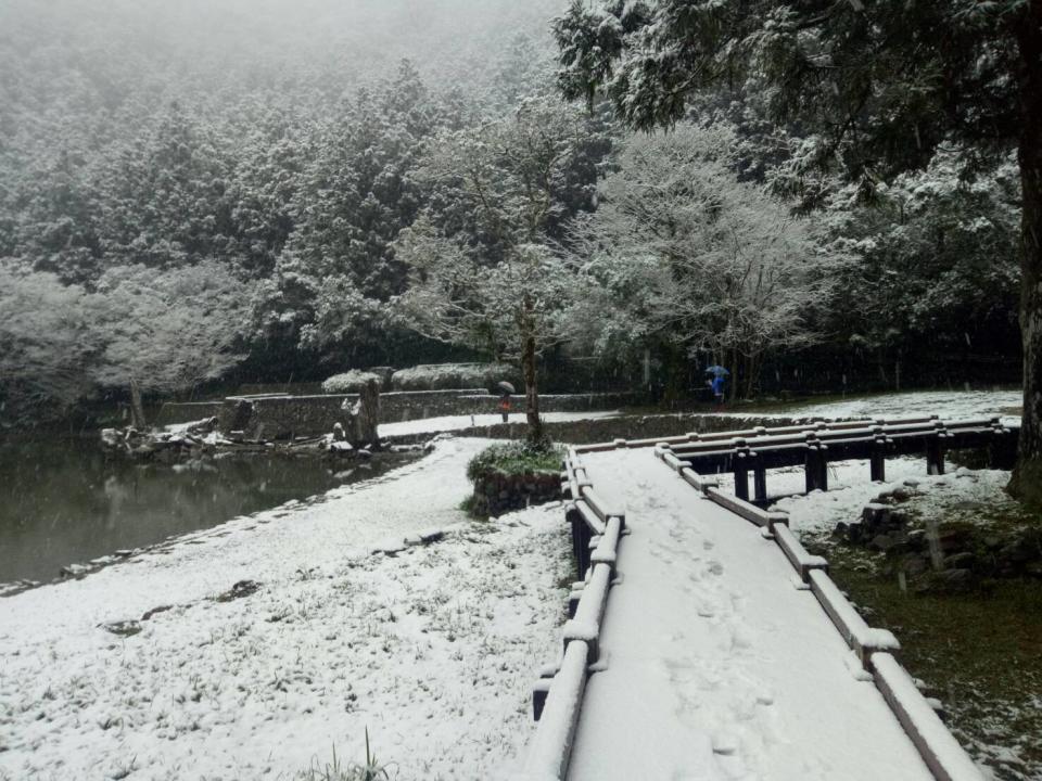 寒流降溫追雪去！全台6處下雪秘境景點推薦