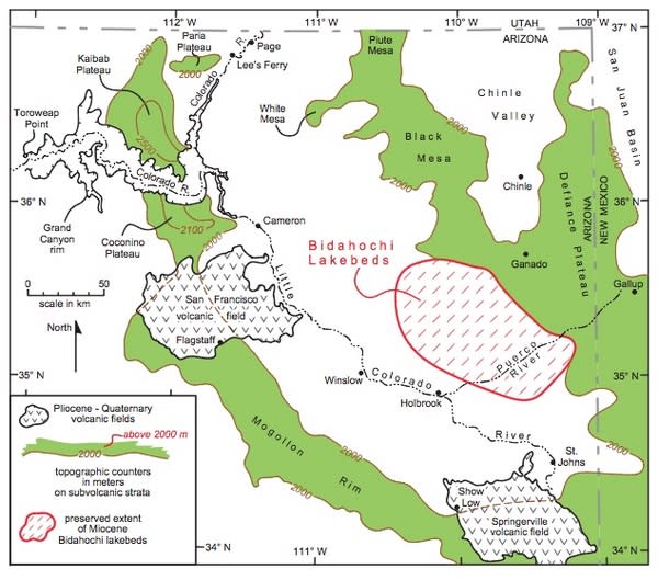 Northeastern Arizona showing the extent of the Bidahochi lake beds in relation to the Grand Canyon and to contours of modern topography.