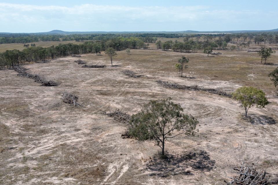 Deforestation for Beef in Bilyana, Central Queensland, Australia