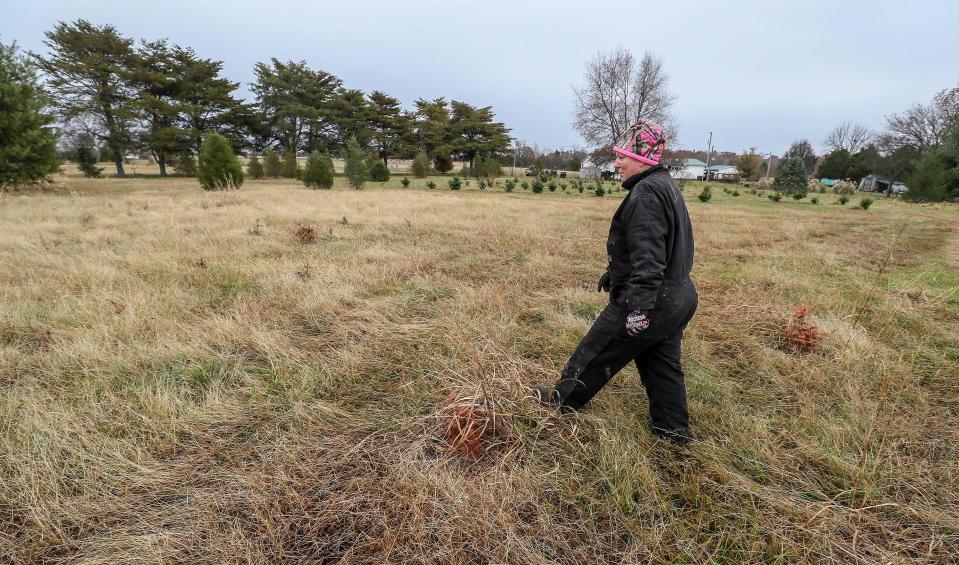 Elizabeth Shafer walks through an open field at Werkmeister Christmas Tree Farm in Bullitt County.