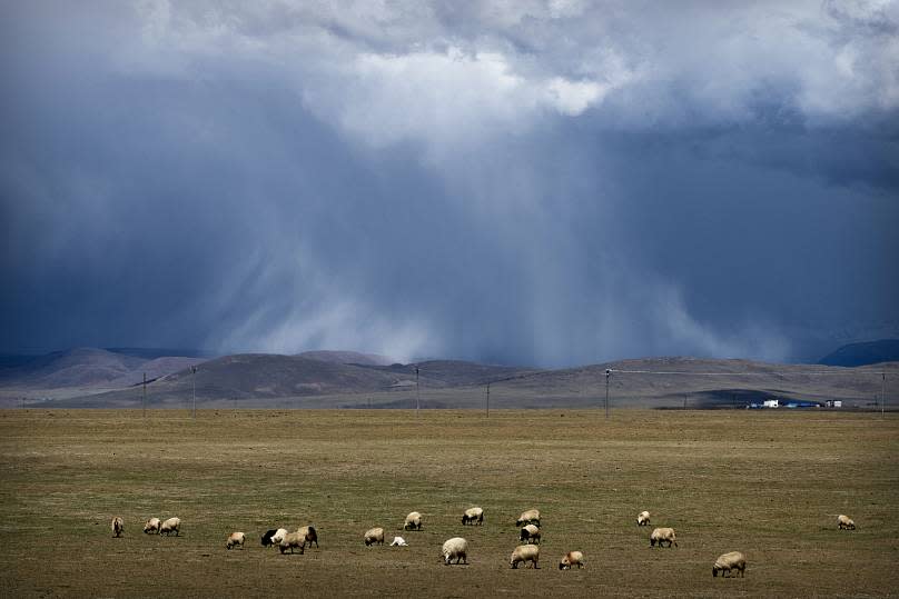 Mark Schiefelbein/Copyright 2021 The Associated Press. All rights reserved